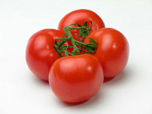 Tomato